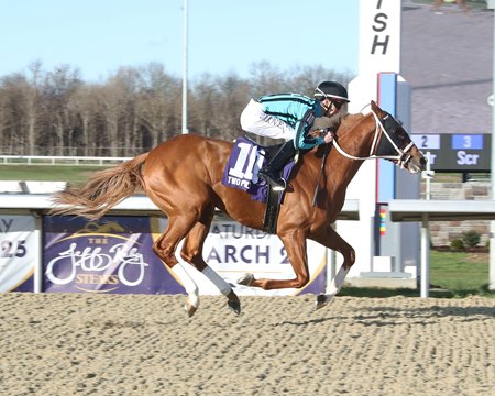 Two Phil's wins the Jeff Ruby Steaks at Turfway Park