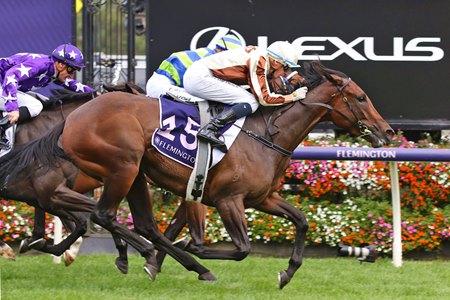 Legarto wins the 2023 Australian Guineas at Flemington Racecourse