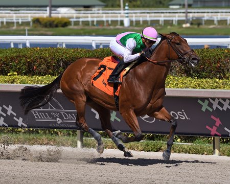 Accede wins a maiden race at Gulfstream Park
