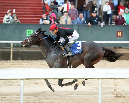 Smile Happy takes an allowance optional claiming race at Oaklawn Park