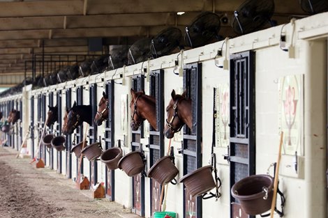 Horse Stalls — 307 Horse Racing