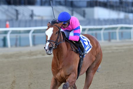 Downtown Mischief wins the Cicada Stakes at Aqueduct Racetrack