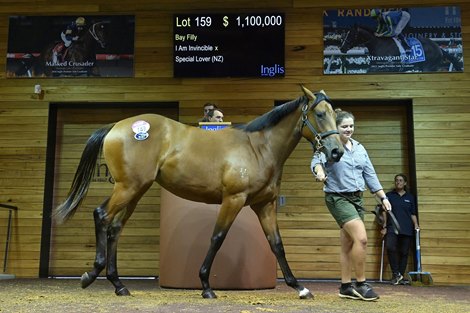 I Am Invincible Filly Sets Melbourne Record at $1.1M I Am Invincible Filly Sets Melbourne Record at $1.1M