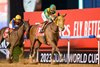 Ushba Tesoro powers clear to win the Dubai World Cup at Meydan Racecourse