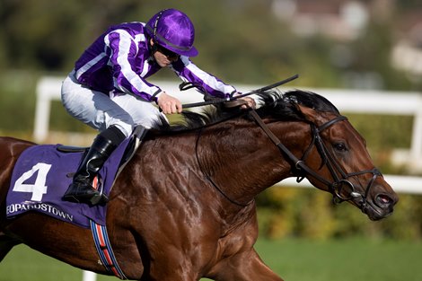 Euro Road to the Kentucky Derby Resumes in Ireland