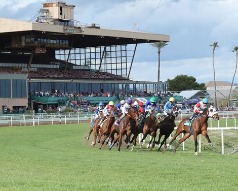 NTL Brings Turf Paradise’s Highest Handle of Decade