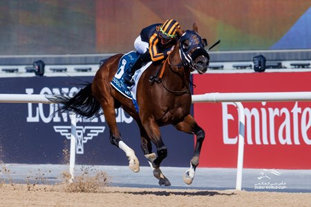 Isolate proved much the best in the $1 million Godolphin Mile at Meydan Racecourse