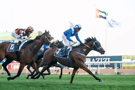 G1 Winner Danyah Heads Large President Cup in Abu Dhabi