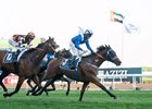 Danyah, Dane O’Neill, Al Quoz Sprint, Meydan Racecourse, Dubai UAE, March 25, 2023, Mathea Kelley 