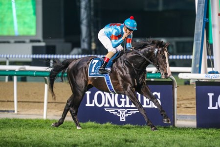 Equinox wins the Dubai Sheema Classic at Meydan Racecourse