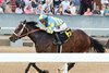 Major Blue - AOC, Oaklawn Park, March 23, 2023