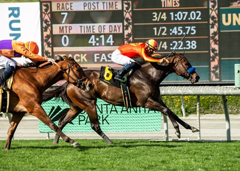 Fast and Shiny Upsets the Field, Winning Angels Flight