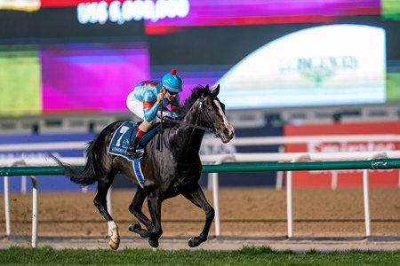 Equinox wins the Dubai Sheema Classic at Meydan Racecourse
