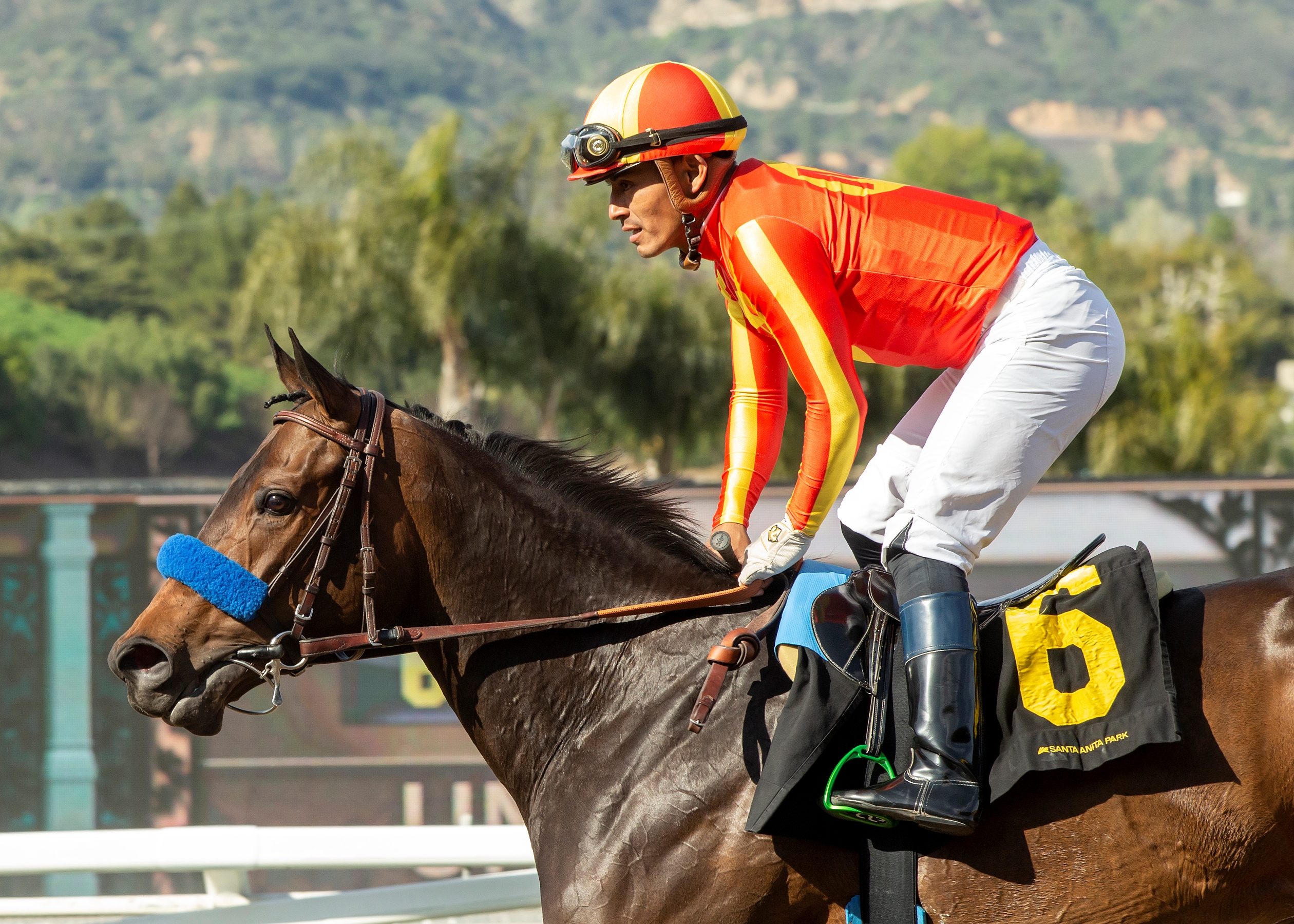 Winning Thoroughbred Strategies: Mitchell, Dick