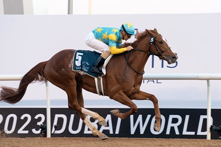 Derma Sotogake wins the UAE Derby at Meydan Racecourse