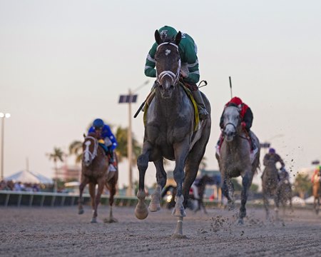 Forte wins the Fountain of Youth Stakes at Gulfstream Park