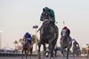 Forte wins the Fountain of Youth Stakes on Saturday, March 4, 2023 at Gulfstream Park