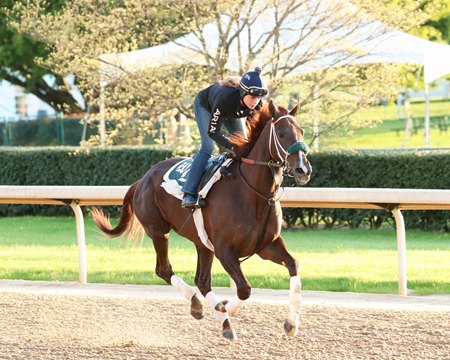 Secret Oath gallops at Oaklawn Park