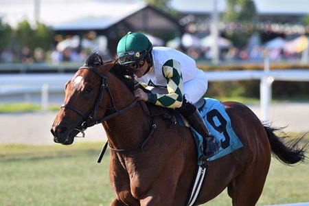 Big Invasion wins the Silks Run Stakes at Gulfstream Park 