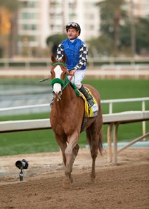 Stilleto Boy and Kent Desormeaux after capturing the Santa Anita Handicap