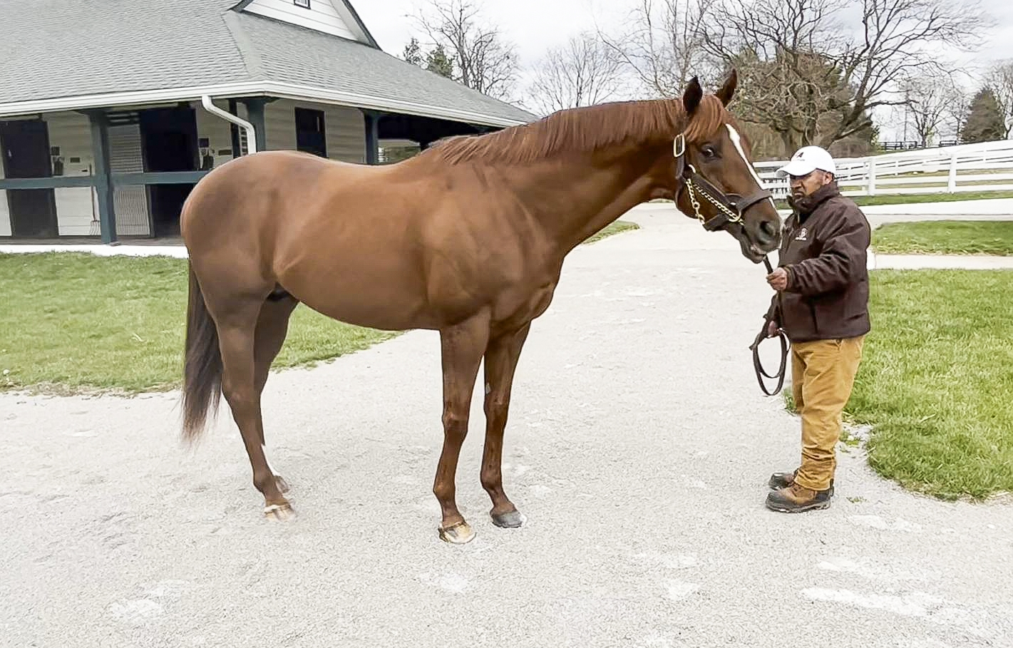 Flameaway, Dialed In Lead Darby Dan's Roster at $15,000