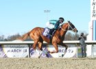 Two Phil&#39;s wins the Jeff Ruby Steaks on Saturday, March 25, 2023 at Turfway Park