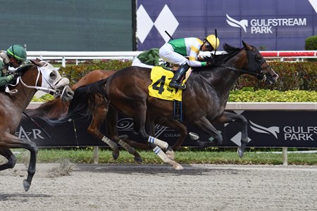 Weyburn wins the Sir Shackleton Stakes at Gulfstream Park