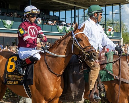 Disarm in the post parade before the 2023 Lexington Stakes at Keeneland