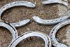 horse shoes
Horses training at Churchill Downs in Louisville, Ky., on April 29, 2023. 



