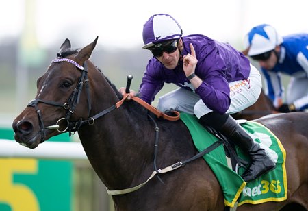 Indestructible wins the Craven Stakes at Newmarket Racecourse
