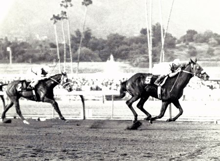 Linda's Chief wins the 1973 San Felipe Stakes at Santa Anita Park