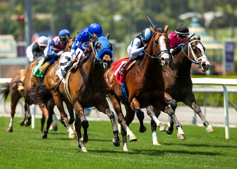 Whatmakessammyrun Tops Daytona Entries on Downhill Turf - BloodHorse whatmakessammyrun-tops-daytona-entries-on-downhill-turf-bloodhorse