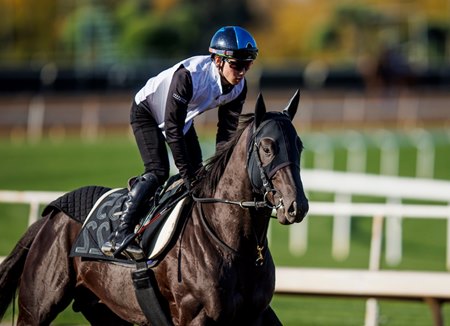 Mandarin Hero with Kazushi Kimura aboard trains ahead of the Santa Anita Derby at Santa Anita Park