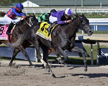 Affirmative Lady charges past her rivals in the Gulfstream Park Oaks at Gulfstream Park