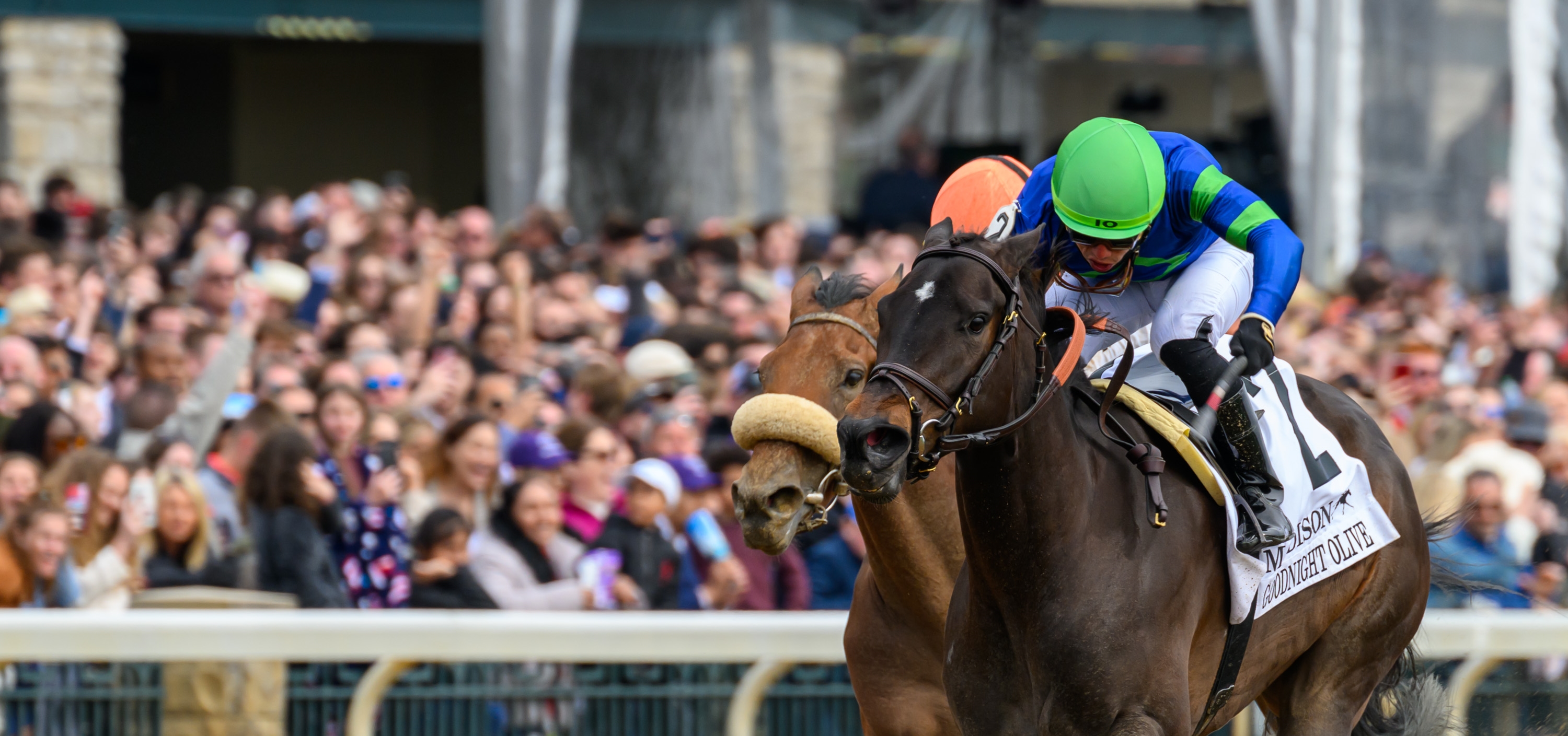 Champion Goodnight Olive Victorious in Madison Return - BloodHorse