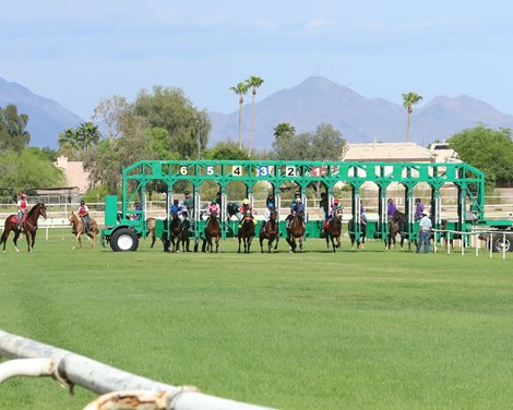 Arizona Horsemen Say Turf Paradise Will Race in January