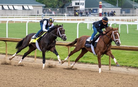 Bright Future - Horse Profile - BloodHorse