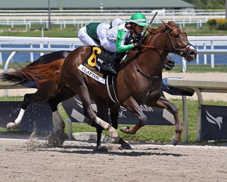 Clapton wins the Ghostzapper Stakes at Gulfstream Park 