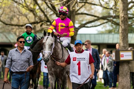 Tapit Trice won the Blue Grass Stakes at the 2023 Keeneland spring meet