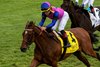 April 28, 2023: War Like Goddess (English Channel) and jockey Joel Rosario win the 61st running of the Grade 3 Bewitch Stakes for trainer Bill Mott and owner George Krikorian. 