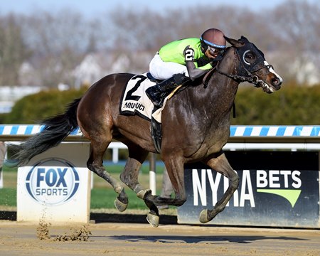 Law Professor draws clear in the Excelsior Stakes at Aqueduct Racetrack