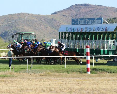 Racing at Turf Paradise