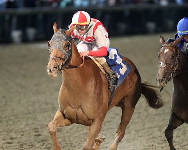 Peak Popularity - Horse Profile - BloodHorse