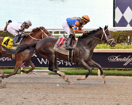 Forte and Mage finish 1-2 in the Florida Derby at Gulfstream Park