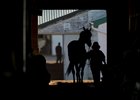 Training at Woodbine Racetrack on April 19, 2023