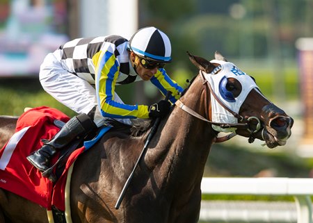 Macadamia and jockey Tiago Pereira win the Wilshire Stakes at Santa Anita Park