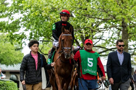 Rattle N Roll - Horse Profile - BloodHorse