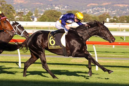 Affaire a Suivre wins the 2023 Australasian Oaks at Morphettville Racecourse