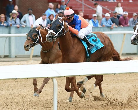 Cox Adds Tapit Shoes to His Belmont Lineup - Vimarsana News
