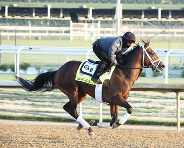 Kingsbarns - Horse Profile - BloodHorse